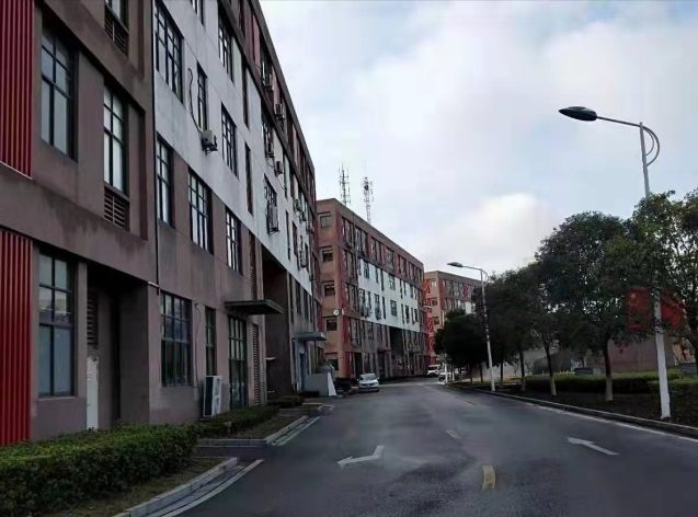 厂区外部道路